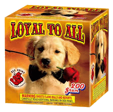 Loyal To All