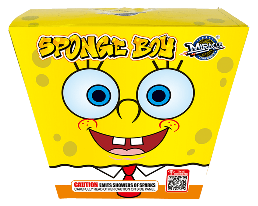 Sponge Boy